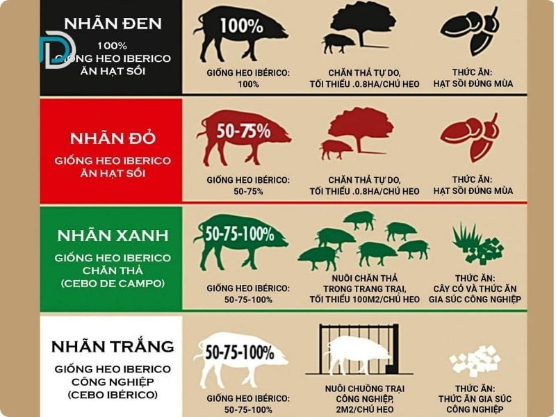 4 phân loại đùi heo