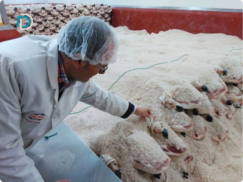 ướp muối đùi heo Iberico