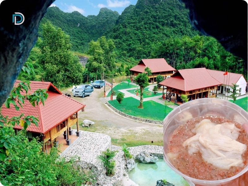 Cát Bà Eco-Lodge Resort