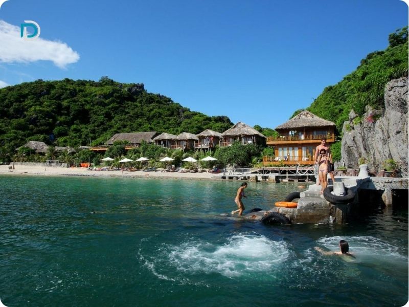 Monkey Island Resort